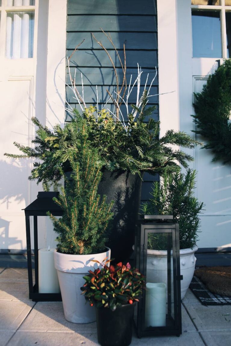 5 Easy Winter Front Porch Decor Ideas to Steal